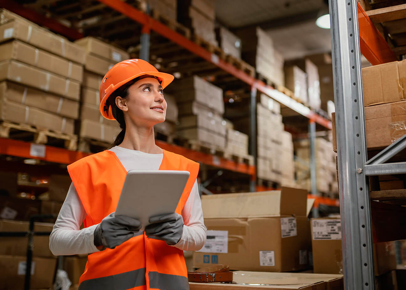 Warehousing Services in Kosova, North Macedonia & Turkey